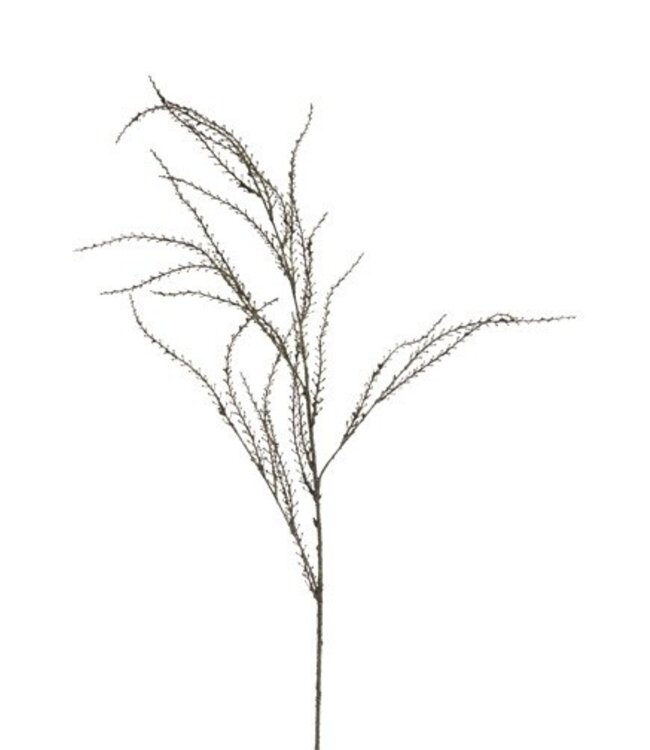 Rene Houtman Euphorbia Kunstbloem | Groen | L137 x B10 cm