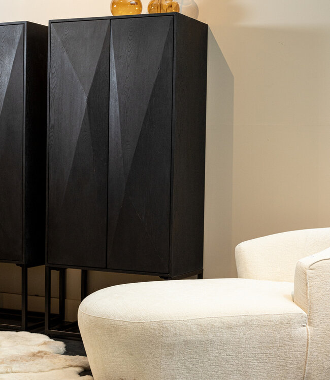 PTMD Onyx kast zwart 2 deuren