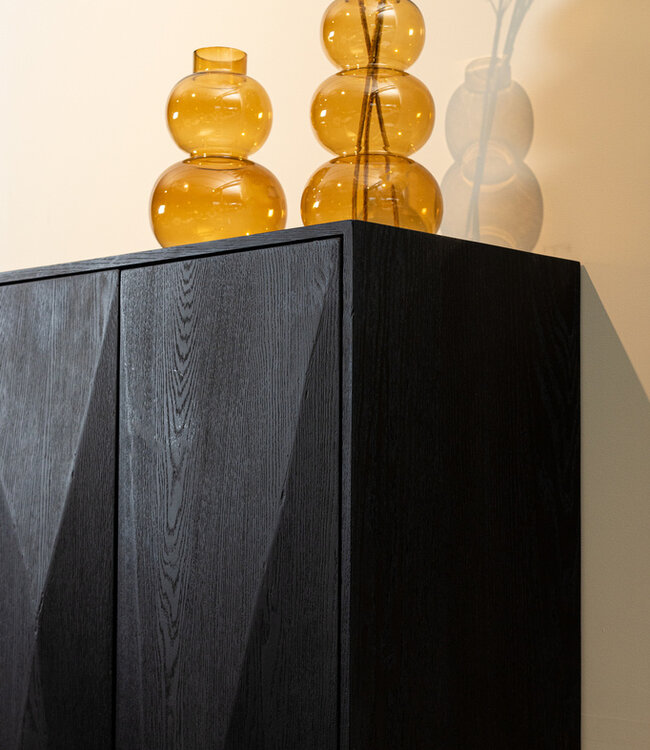 PTMD Onyx kast zwart 2 deuren