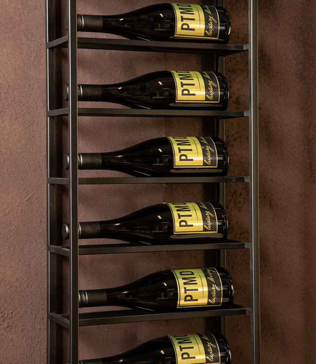 PTMD Kentyn Zwarte rechthoekige ijzeren wijnrek groot