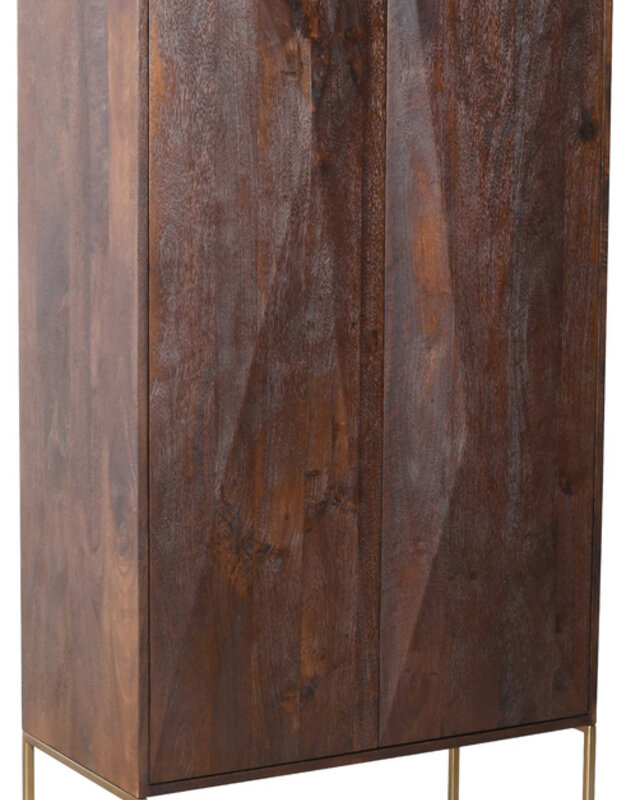 PTMD Onyx kast bruin 2 deuren