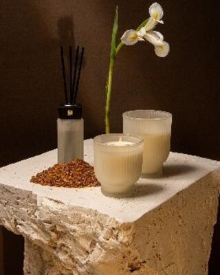 PTMD New Elements Geurkaars | L | Oud Mineral