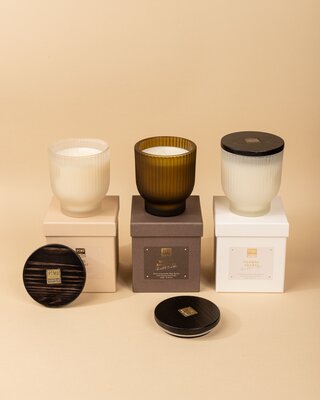 PTMD New Elements Geurkaarstester | 3 Geuren