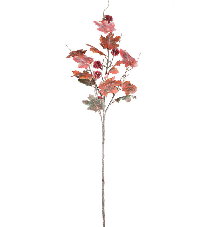 PTMD Twijgplant rode groene esdoorn spray met kastanje.