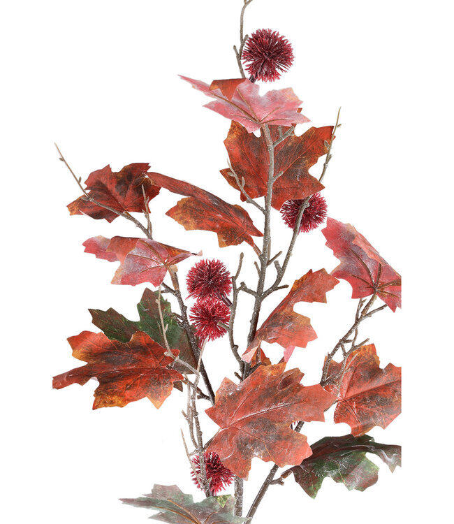 PTMD Twijgplant rode groene esdoorn spray met kastanje.