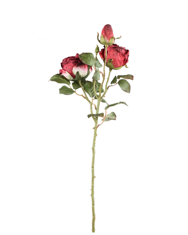 PTMD Rozenbloem rode rozen spray met knop en bladeren.