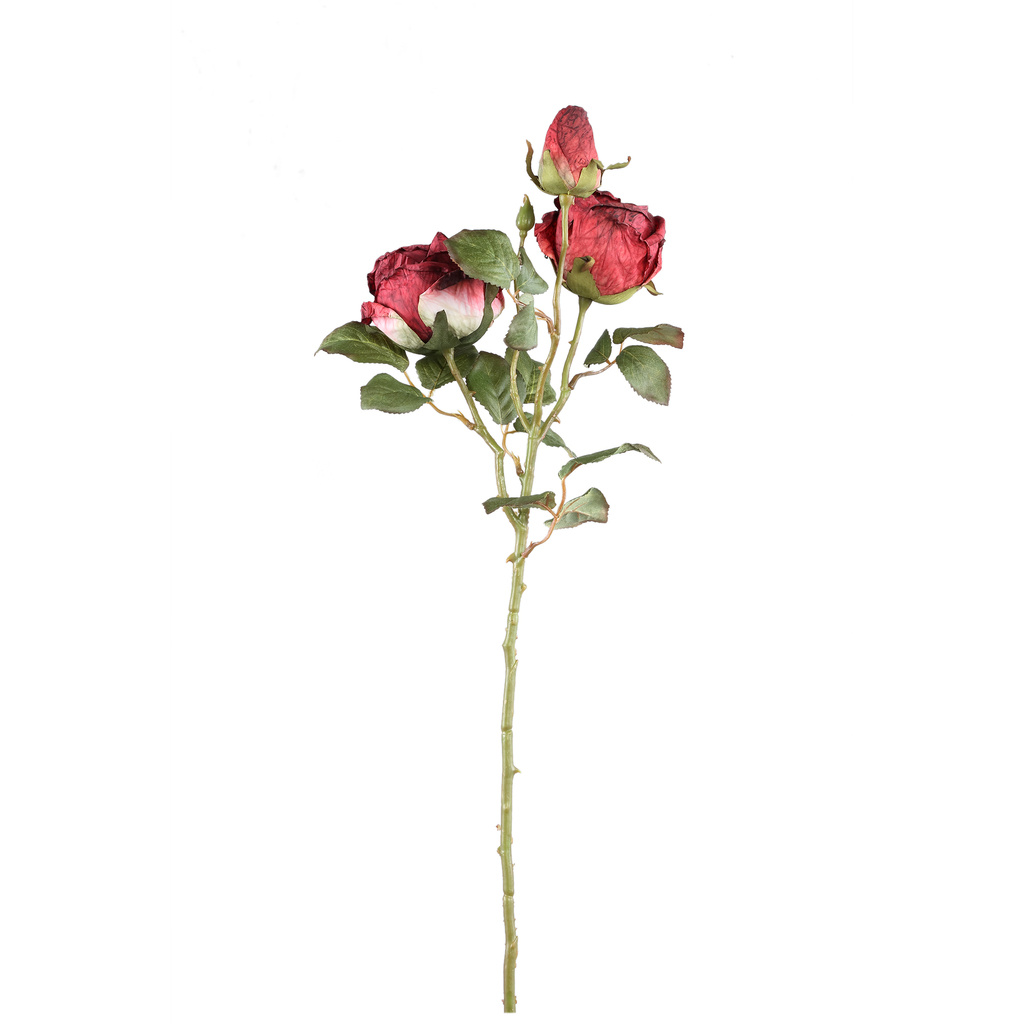 PTMD Rozenbloem rode rozen spray met knop en bladeren.
