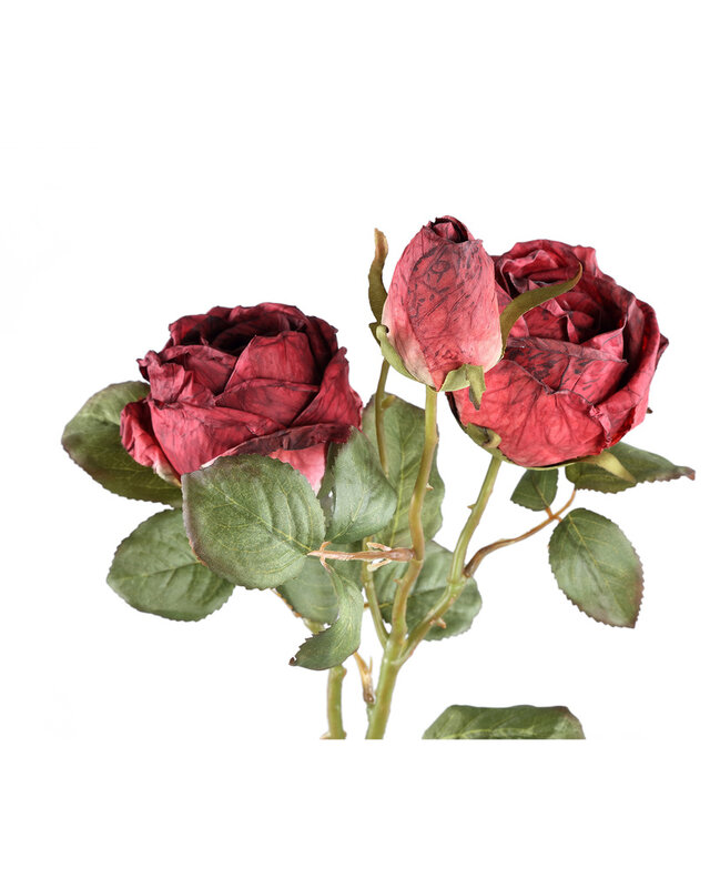 PTMD Rozenbloem rode rozen spray met knop en bladeren.