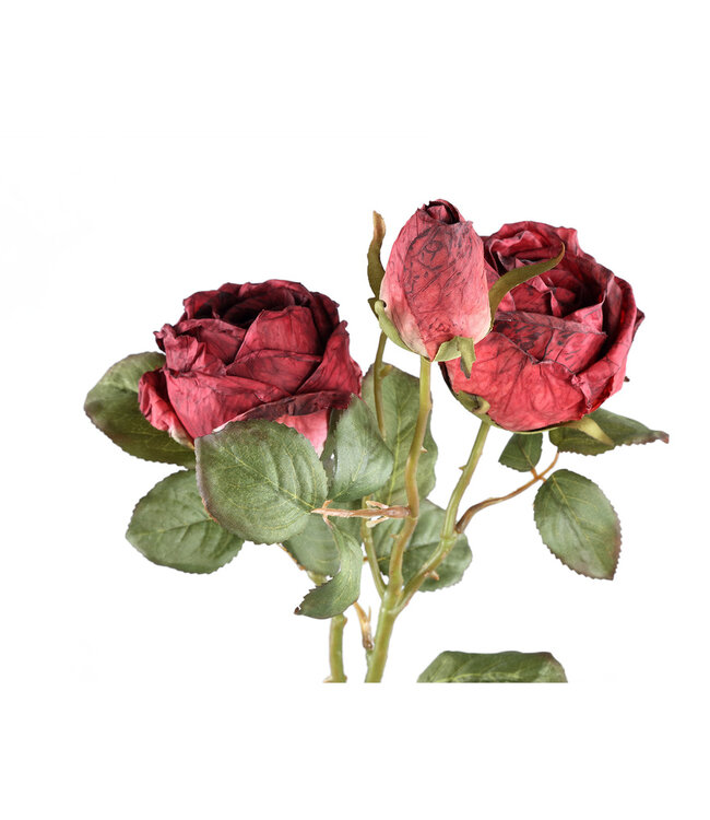 PTMD Rozenbloem rode rozen spray met knop en bladeren.