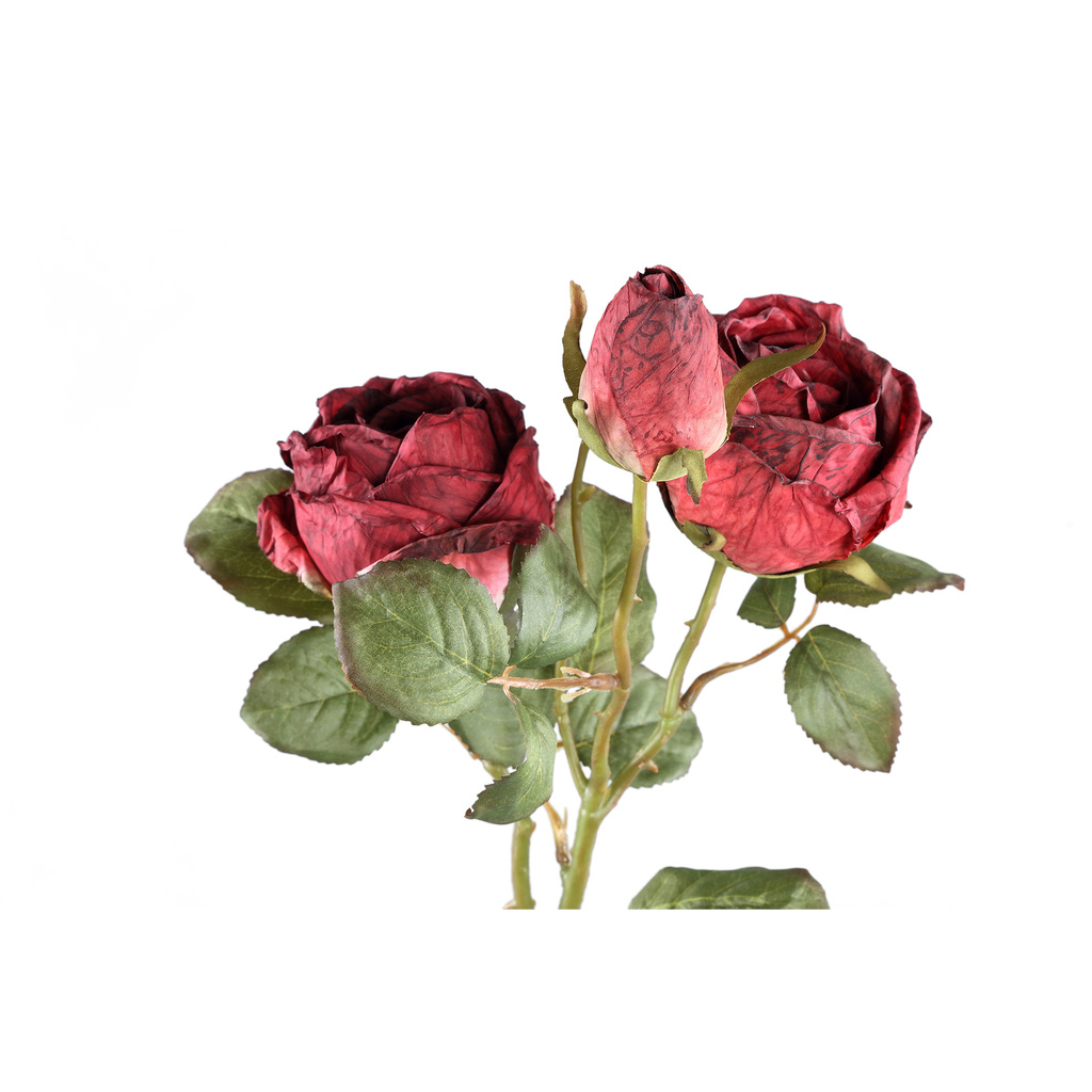 PTMD Rozenbloem rode rozen spray met knop en bladeren.