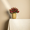 Rozenbloem rode rozen spray met knop en bladeren.