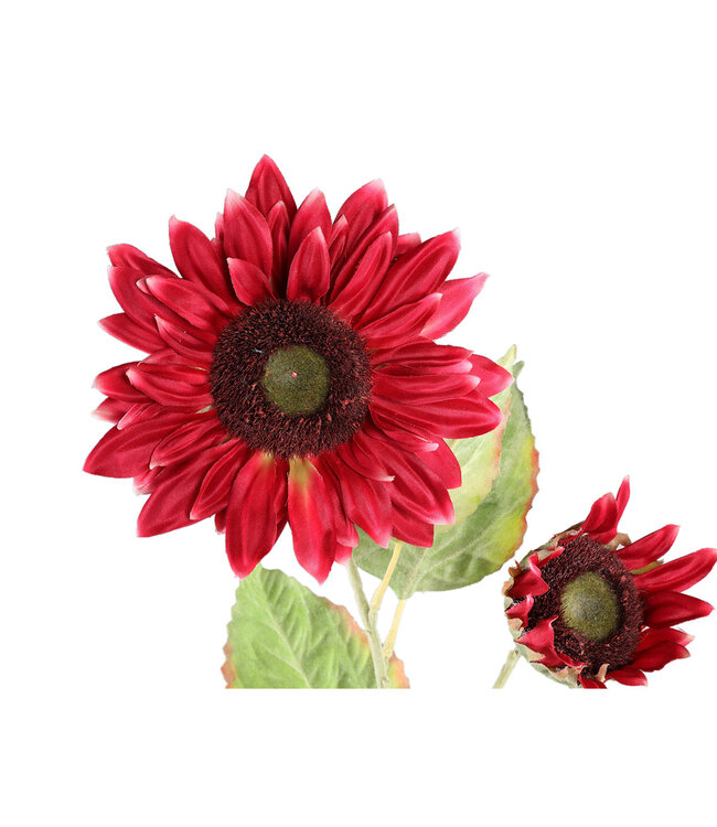 PTMD Tuinbloem rode zonnebloemsteel met bladeren.