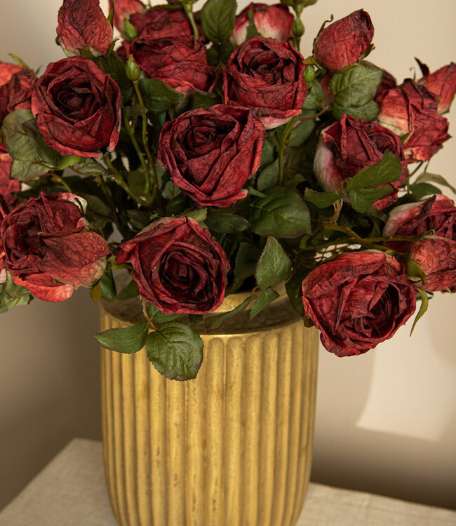 PTMD Rozenbloem rode rozen spray met knop en bladeren.