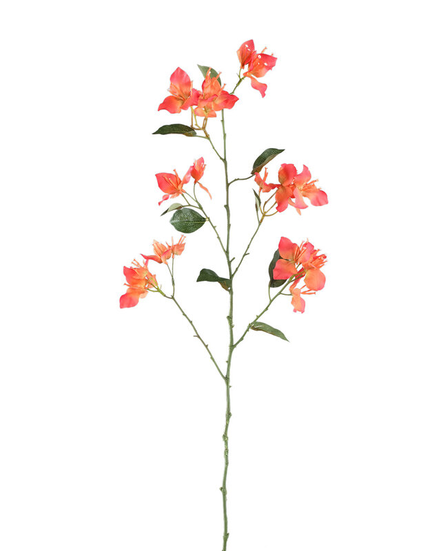 PTMD Tuinbloem oranje bougainvillea spray