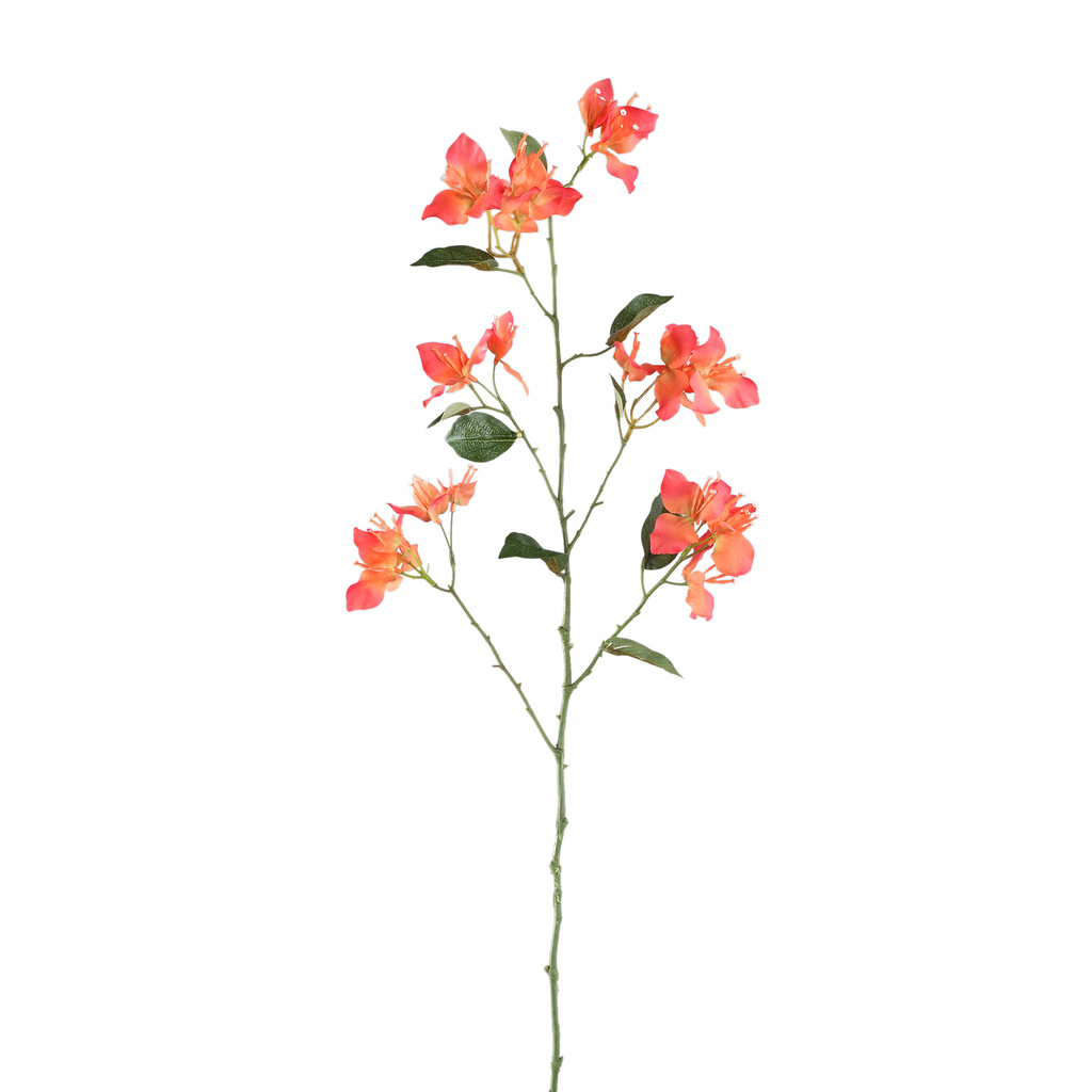 PTMD Tuinbloem oranje bougainvillea spray