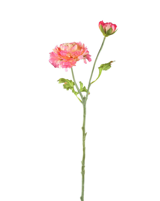PTMD Tuinbloem roze ranonkelspray met knoppen.