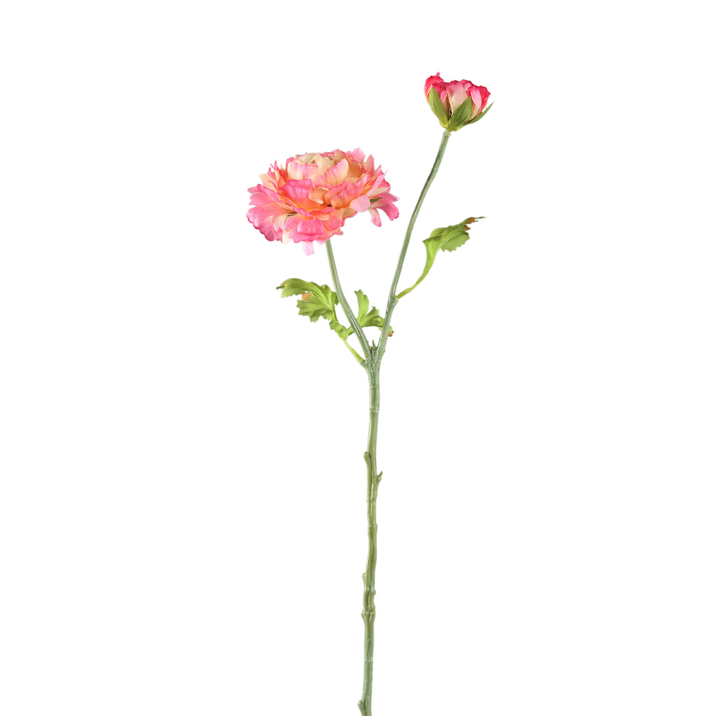 PTMD Tuinbloem roze ranonkelspray met knoppen.