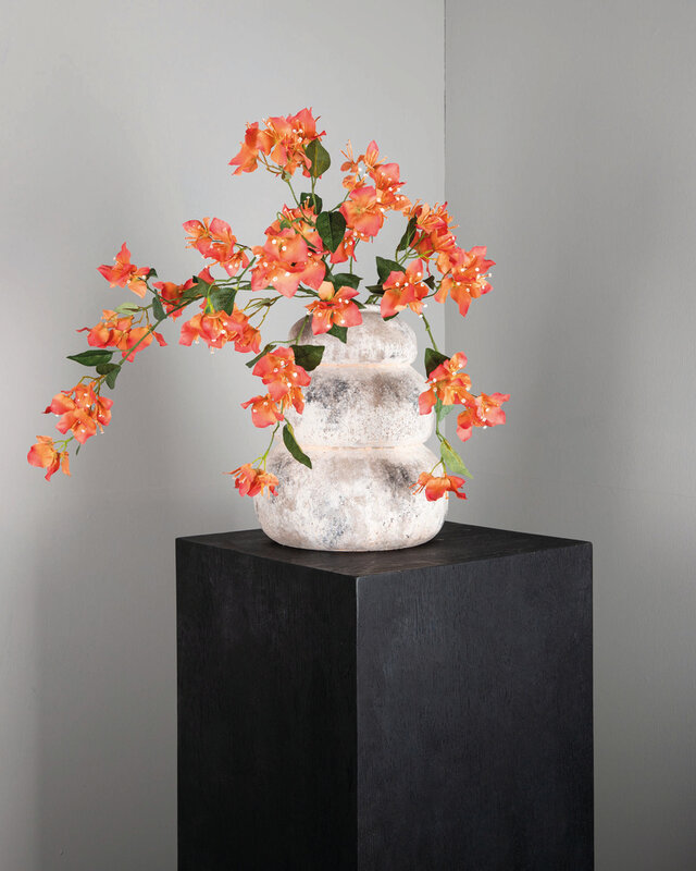 PTMD Tuinbloem oranje bougainvillea spray