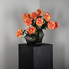 Dahlia bloem rood/gele dahlia spray met bladeren