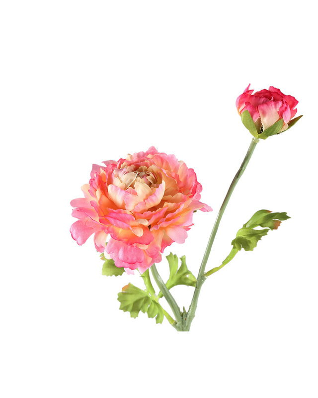 PTMD Tuinbloem roze ranonkelspray met knoppen.
