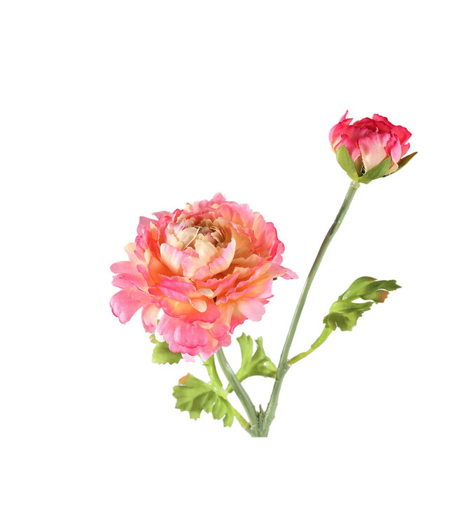 PTMD Tuinbloem roze ranonkelspray met knoppen.