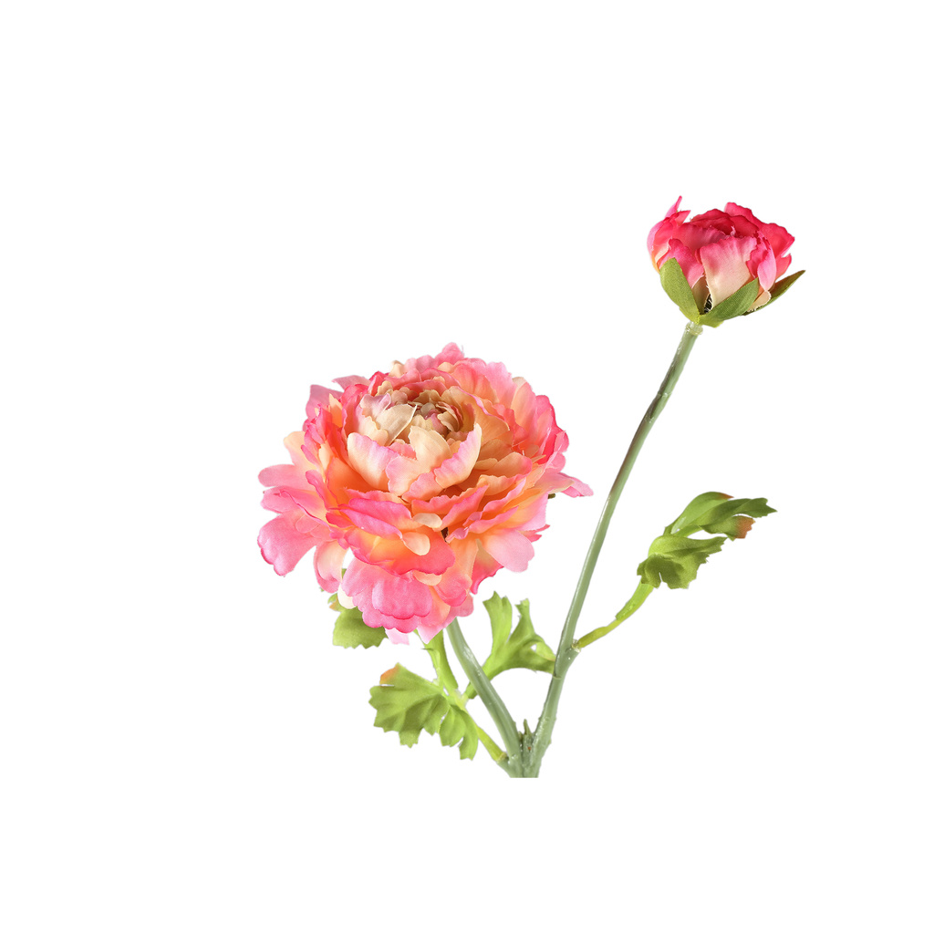PTMD Tuinbloem roze ranonkelspray met knoppen.