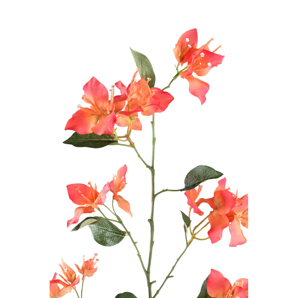 PTMD Tuinbloem oranje bougainvillea spray
