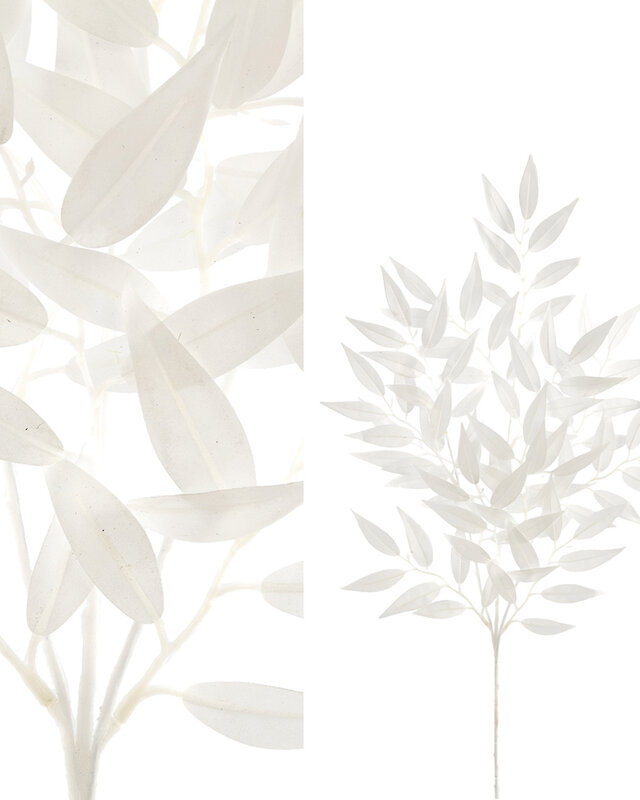 PTMD Bladeren Plant witte smilax spray