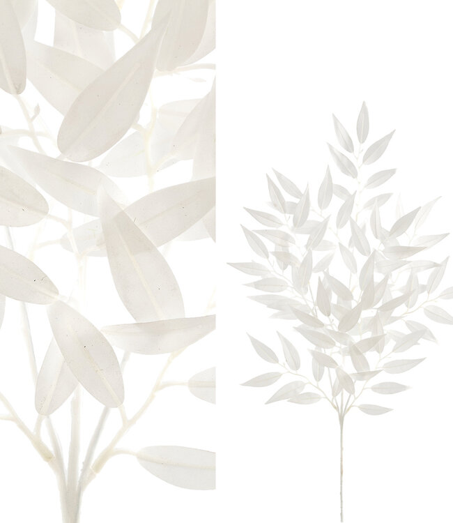 PTMD Bladeren Plant witte smilax spray