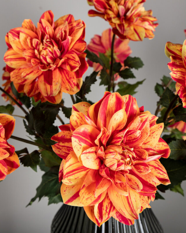 PTMD Dahlia bloem rood/gele dahlia spray met bladeren