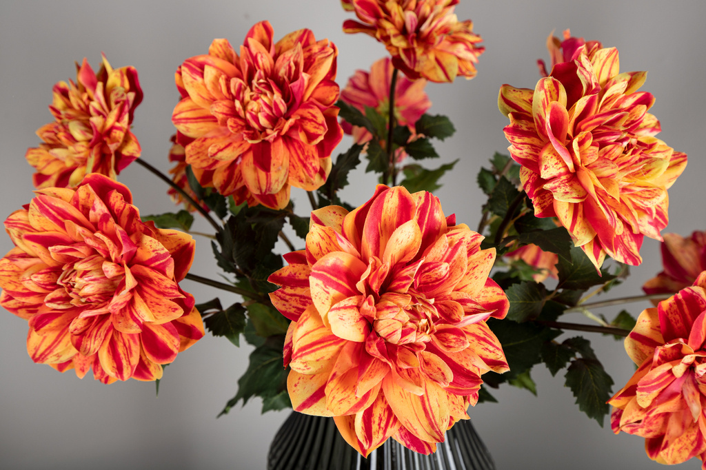 PTMD Dahlia bloem rood/gele dahlia spray met bladeren
