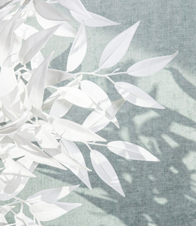 PTMD Bladeren Plant witte smilax spray