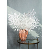Bladeren Plant witte smilax spray
