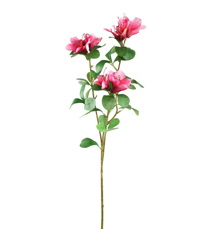 PTMD Tuinbloem roze azalea met bladeren 40 x 12 x 72 cm