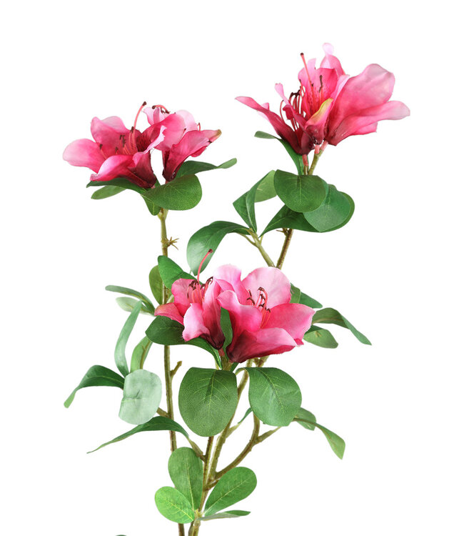 PTMD Tuinbloem roze azalea met bladeren 40 x 12 x 72 cm
