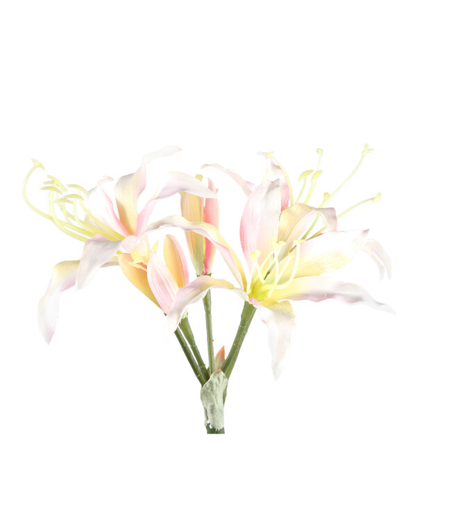 PTMD Amaryllis Bloemencrème amaryllisspray