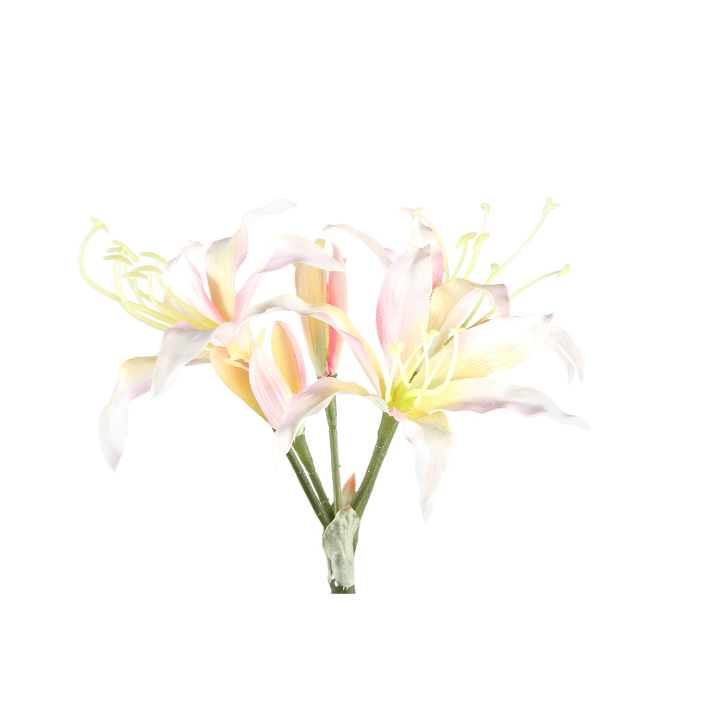 PTMD Amaryllis Bloemencrème amaryllisspray