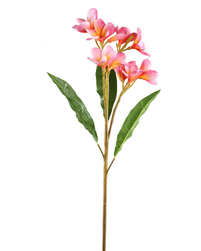 PTMD Tuinbloem roze met bladeren