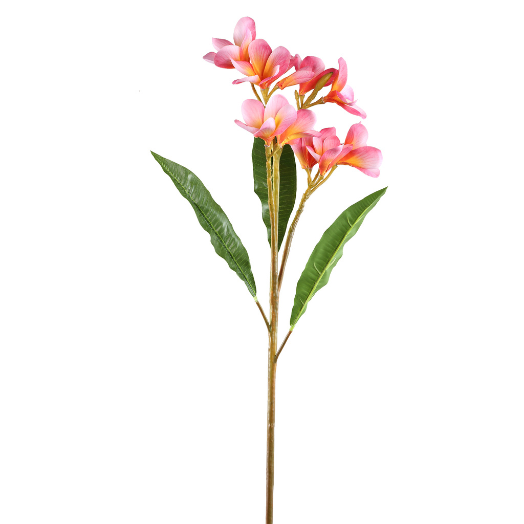 PTMD Tuinbloem roze met bladeren