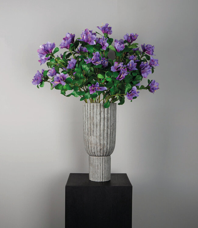 PTMD Tuinbloem paarse azalea met bladeren