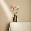 Amaryllis Bloemencrème amaryllisspray