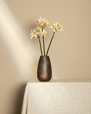 PTMD Amaryllis Bloemencrème amaryllisspray