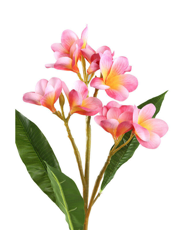 PTMD Tuinbloem roze met bladeren