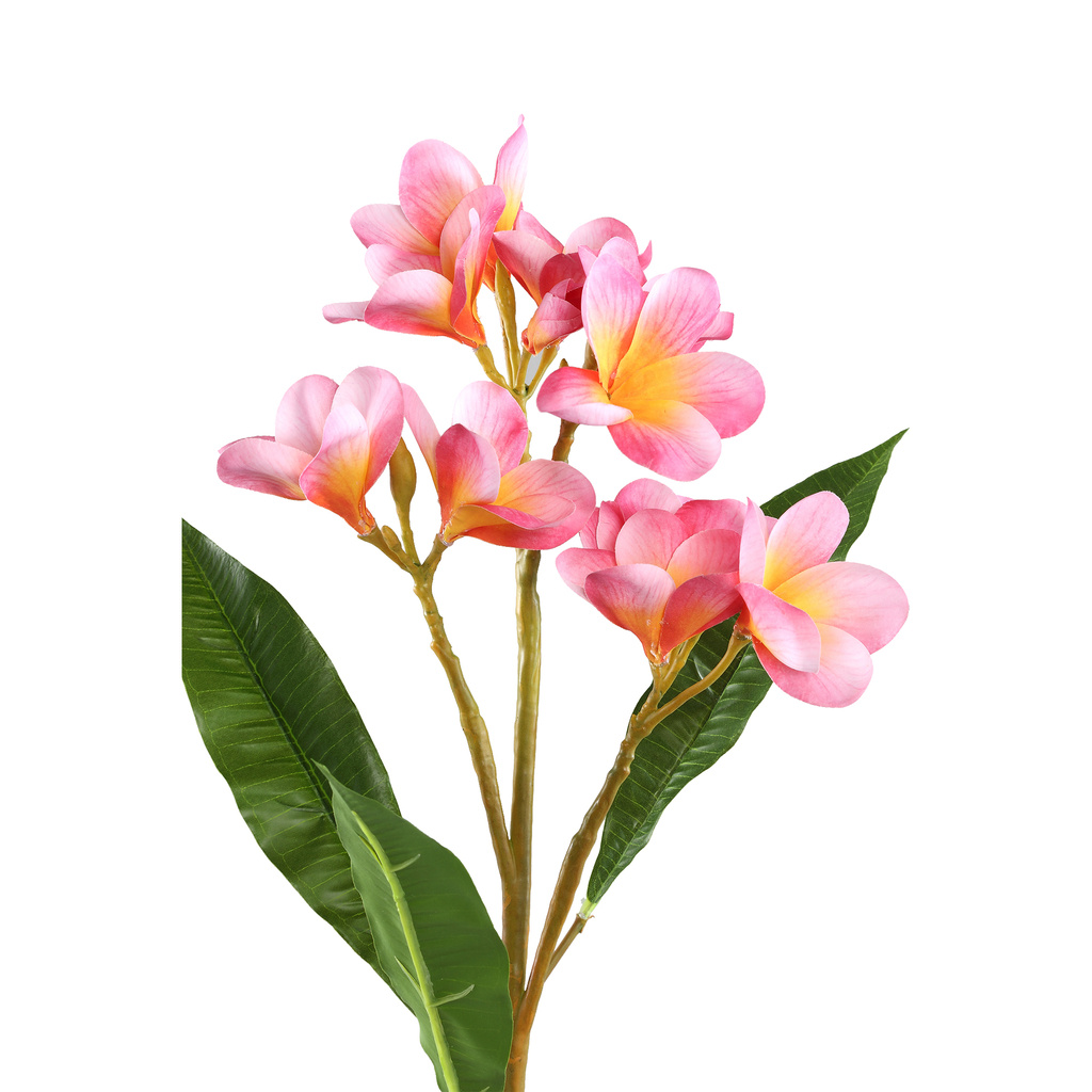 PTMD Tuinbloem roze met bladeren