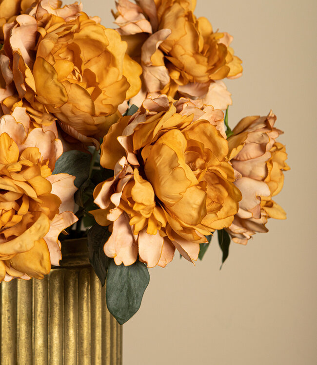 PTMD Pioenroos bloem oranje met fluweelachtige bladeren