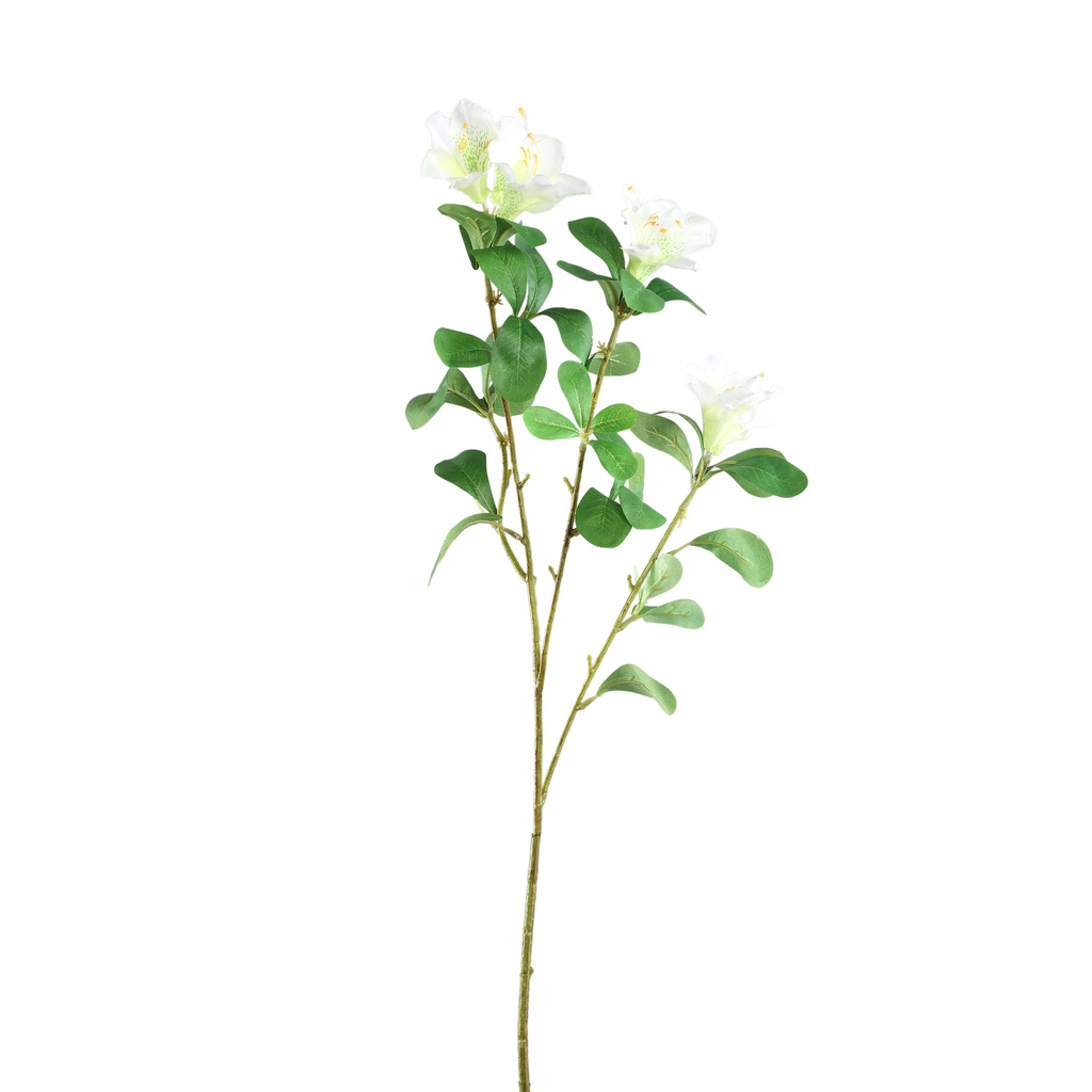 PTMD Tuinbloem witte azalea met bladeren.