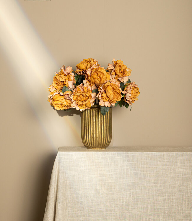 PTMD Pioenroos bloem oranje met fluweelachtige bladeren