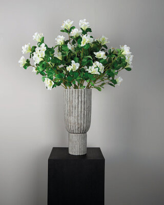 PTMD Tuinbloem witte azalea met bladeren.