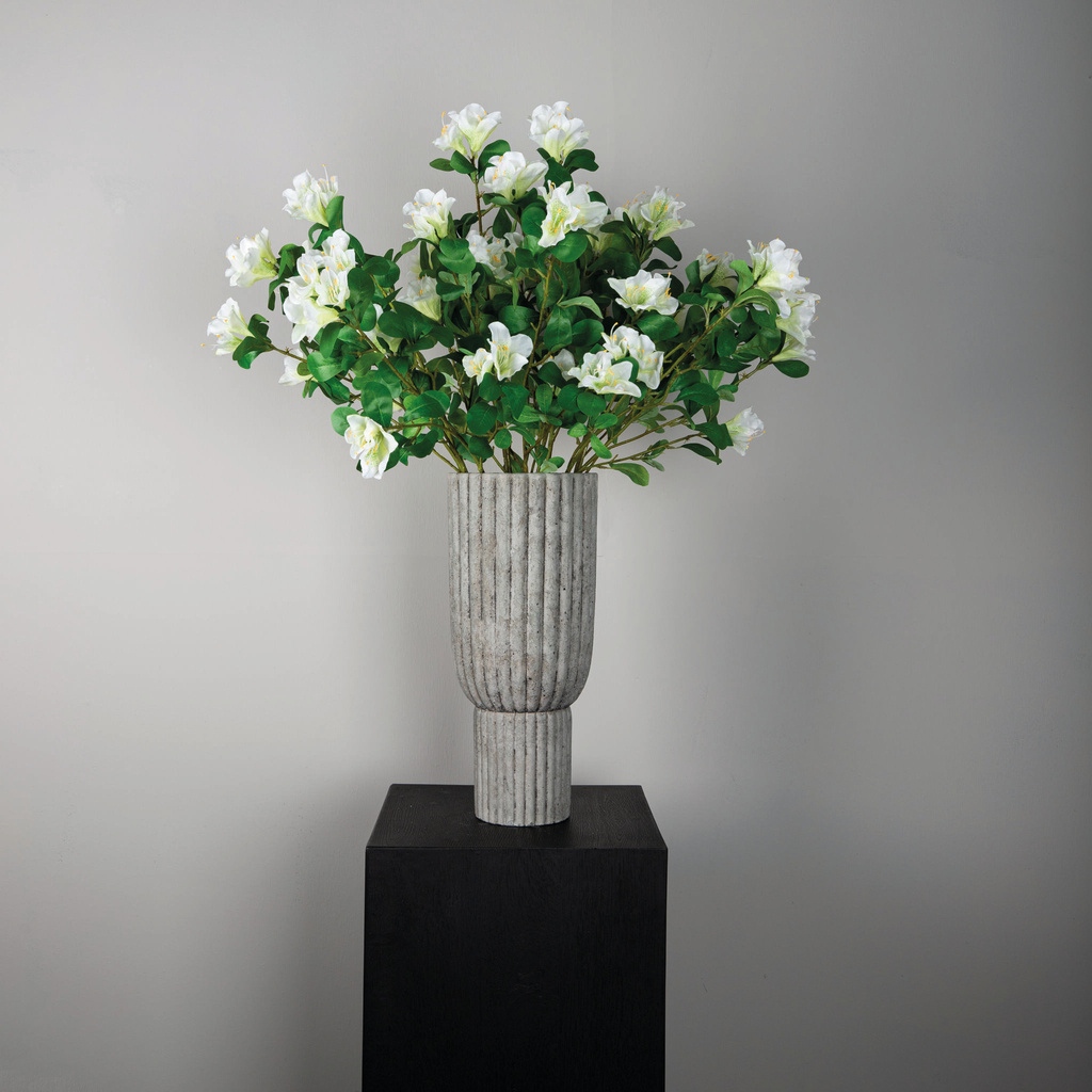 PTMD Tuinbloem witte azalea met bladeren.