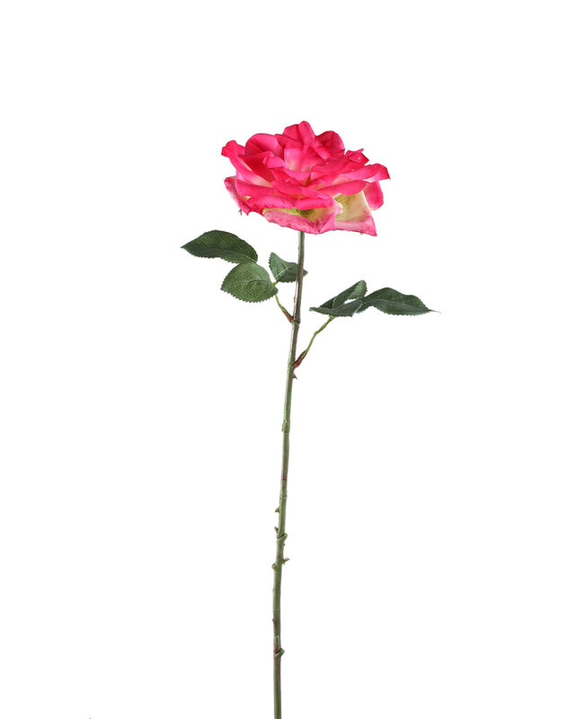 PTMD Rozenbloem helder roze rozenspray met bladeren.